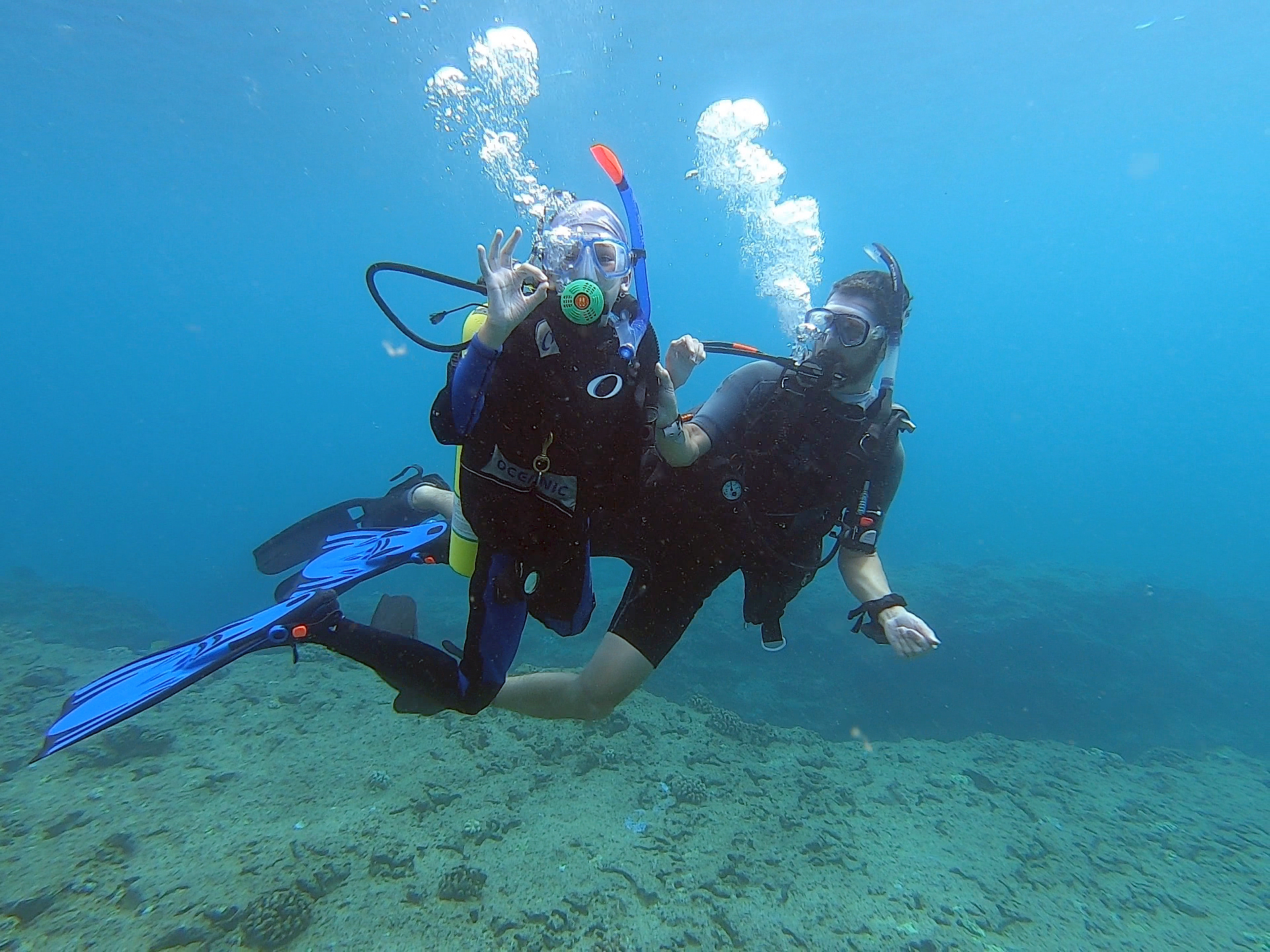 Try Scuba Diving with NO EXPERIENCE with the Discover Scuba Diving Experience in Oahu Hawaii
