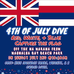 4th of july dive