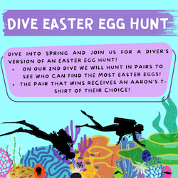 Dive Easter Egg Hunt