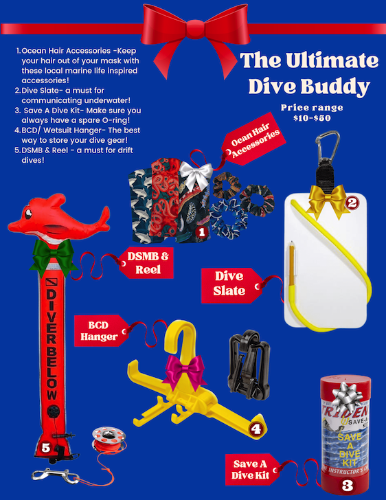 Gift Guide: The Ultimate Dive Buddy, Ultimate Scuba diver gift guide