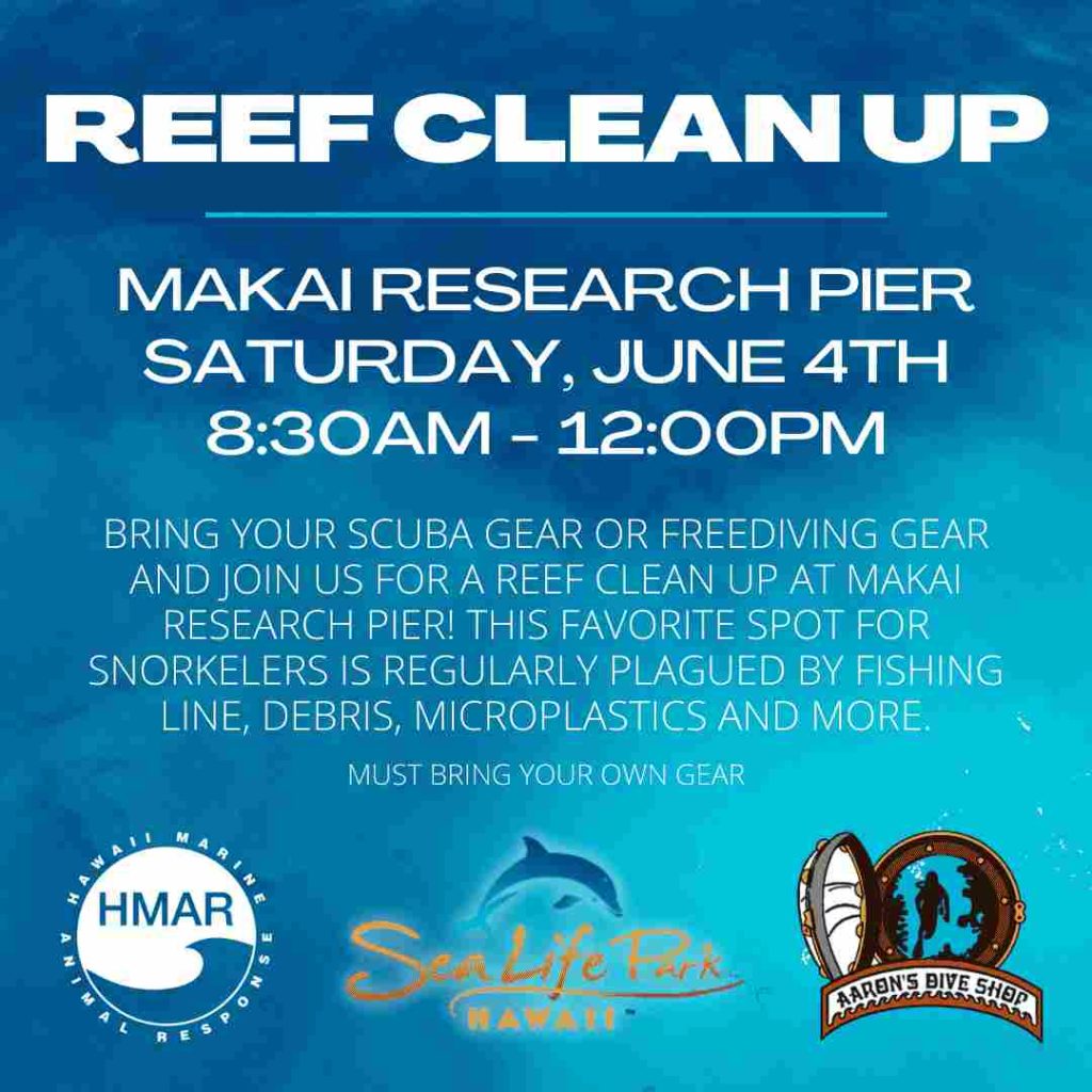 Oahu Reef Clean Up