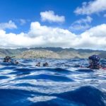 Dive with Pride Oahu Hawaii