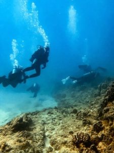 Divers on a reef