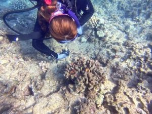 Makaha Reef Clean Up