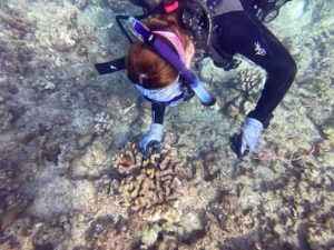 Makaha Reef Clean Up