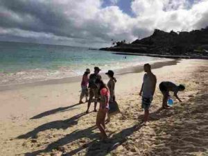 Kailua Beach Clean Up