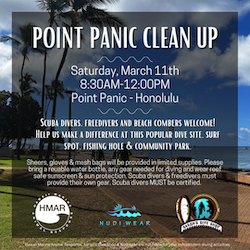 Point Panic Dive Clean UP