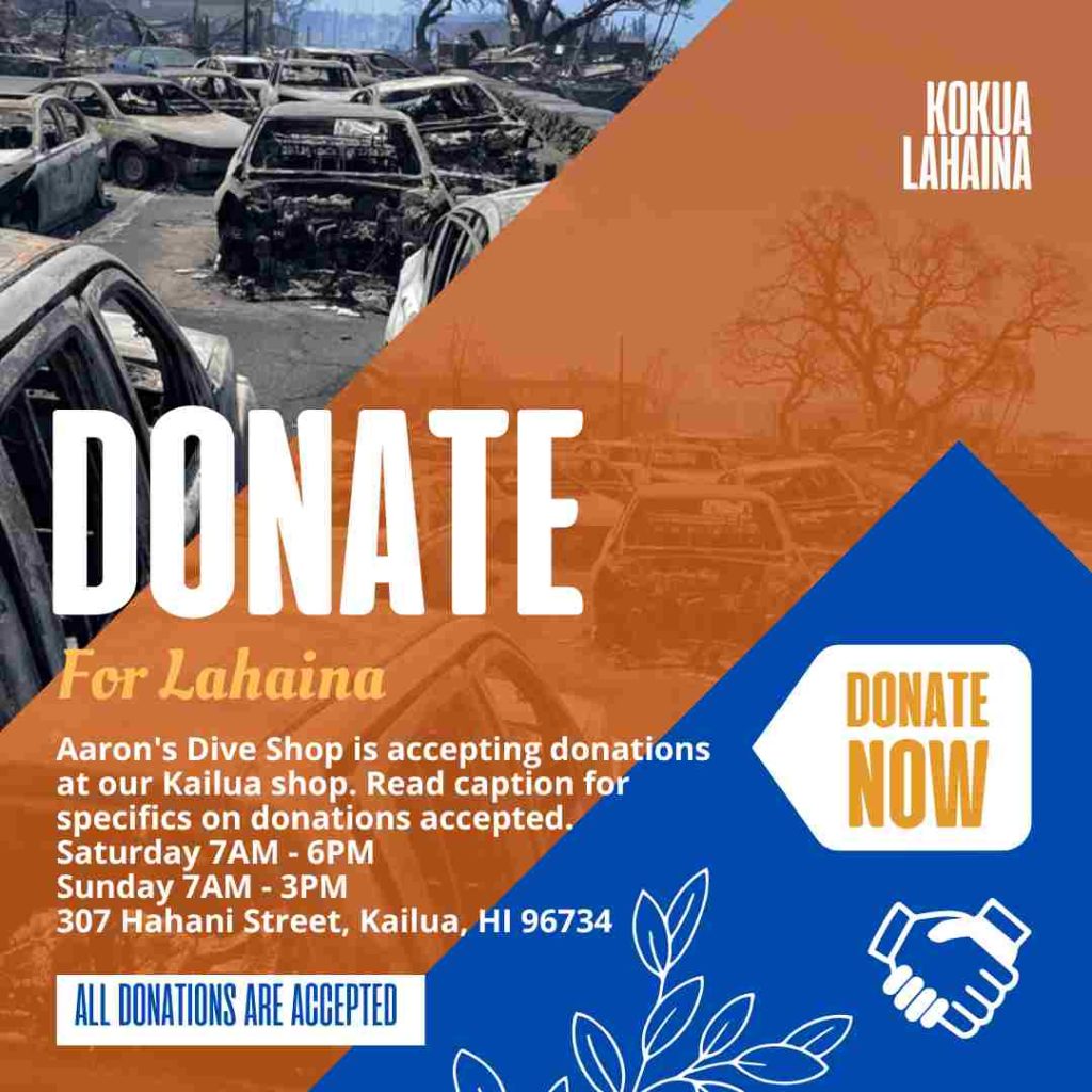 Lahaina Fire Donations