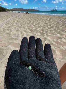 microplastics - Waimanalo Beach Clean Up