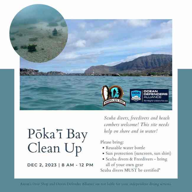 West-side reef and beach park with Aaron's Dive Shop and Ocean Defenders Alliance at Pokai Bay