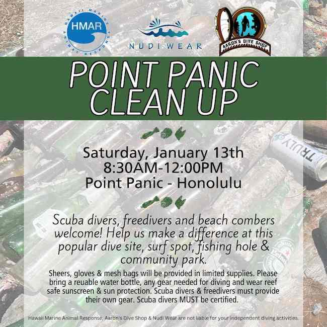 Honolulu reef and park clean up with Aaron's Dive Shop HMAR and Nudi Wear Alliance at Point Panic